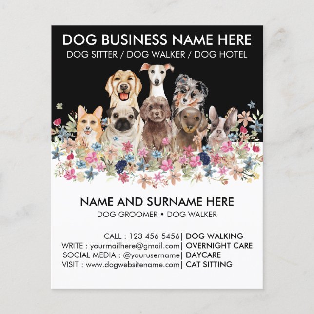 Flyer Cão Preto e Branco Passeador de Cães Pet Sitter To (Frente)