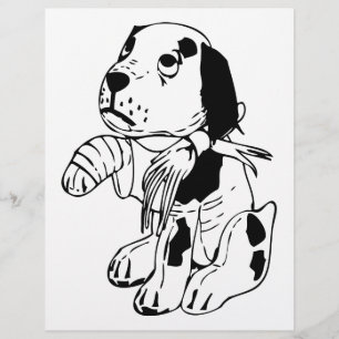 Flyer Cão Triste Com Perna Quebrada