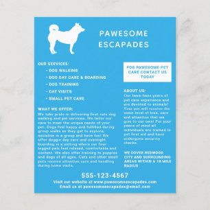 Flyer Cão Walker e Pet Sitter Tea