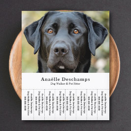 Flyer Cão Walker Pet Sitter Foto: Rasgadura