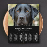 Flyer Cão Walker Pet Sitter Foto: Rasgadura<br><div class="desc">Um panfleto preto elegante e minimalista com Strips Lágrimas com uma foto personalizável de um labrador preto giro,  perfeito para andador de cães e babá de estimação,  educador de comportamento canino,  groomer. Você pode substituir a foto pelo seu próprio logotipo! No fundo há um padrão de pata de cachorro!</div>