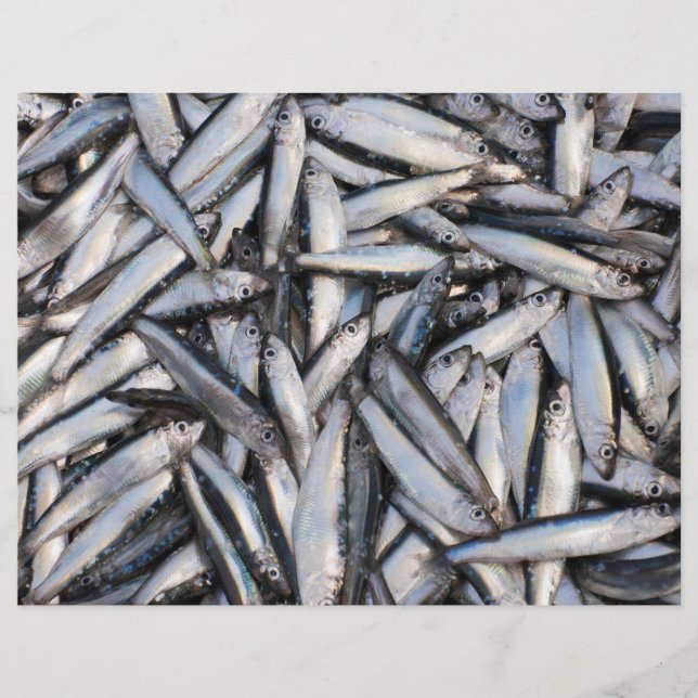 Flyer Capturas de peixe fresco - ingredientes de comida. (Frente)