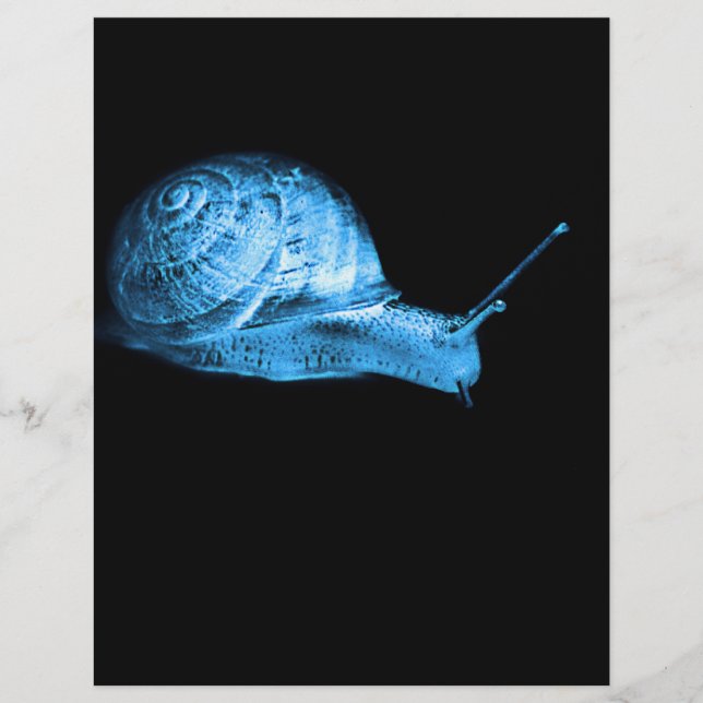 Flyer caracol néon (Frente)