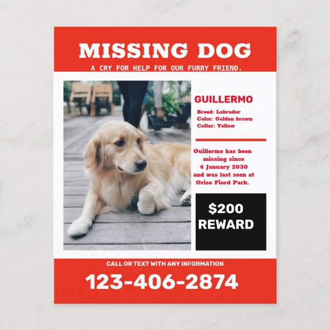 Flyer Cartaz de anúncio de foto de cachorro desaparecido (Frente)