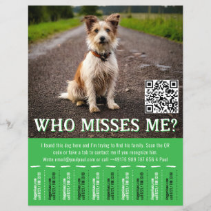 Flyer Cartaz de Cão Encontrado Editável com Código QR e