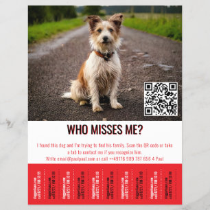 Flyer Cartaz de Cão Encontrado Editável Com QR Code e Ab