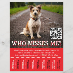 Flyer Cartaz de Cão Encontrado Editável Com QR Code e Ab