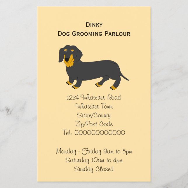 Flyer Cartaz de Design de Cachorro Dachshund para Pet Sh (Frente)