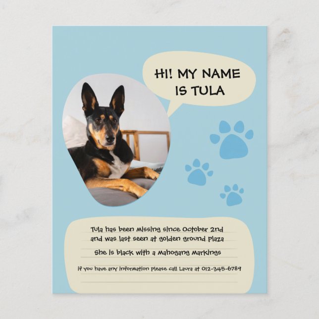 Flyer Cartaz de Foto Azul Moderno de Cachorro Desapareci (Frente)
