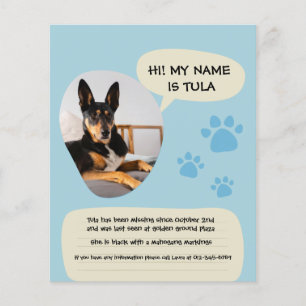Flyer Cartaz de Foto Azul Moderno de Cachorro Desapareci