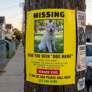 Flyer Cartaz de Modelo Urgente para Cachorro de Estimaçã