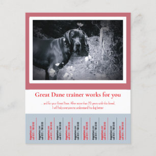 Flyer Cartaz de Treinador de Cães Great Dane