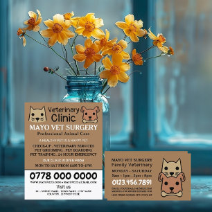 Flyer Cat & Dog, veterinário, serviço veterinário