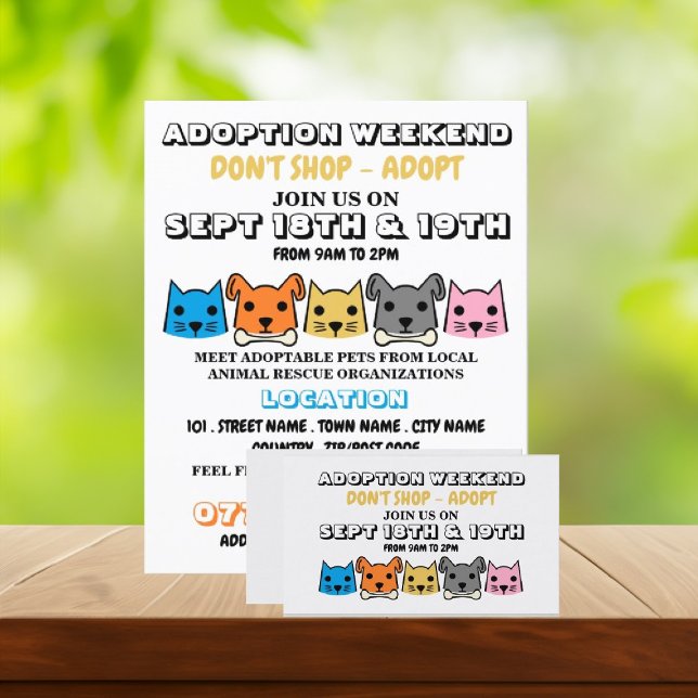 Flyer Cats & Dogs, Publicidade de eventos de adoção de a (Criador carregado)