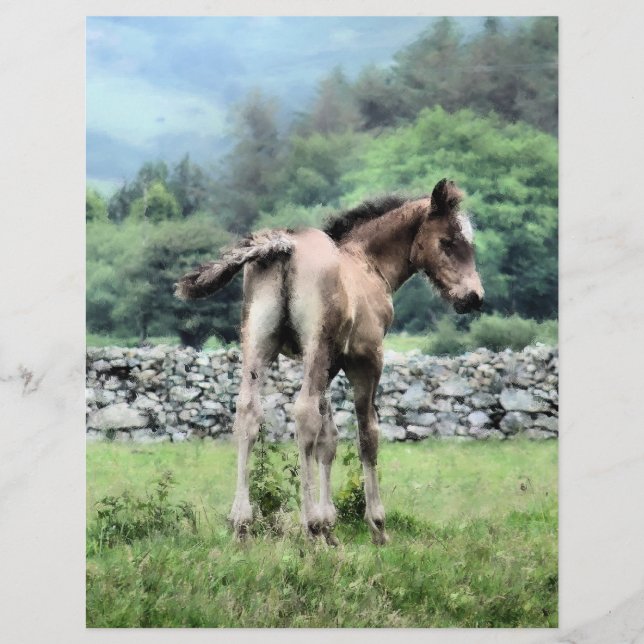 FLYER CAVALOS (Frente)