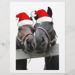 Flyer Cavalos do País de Natal