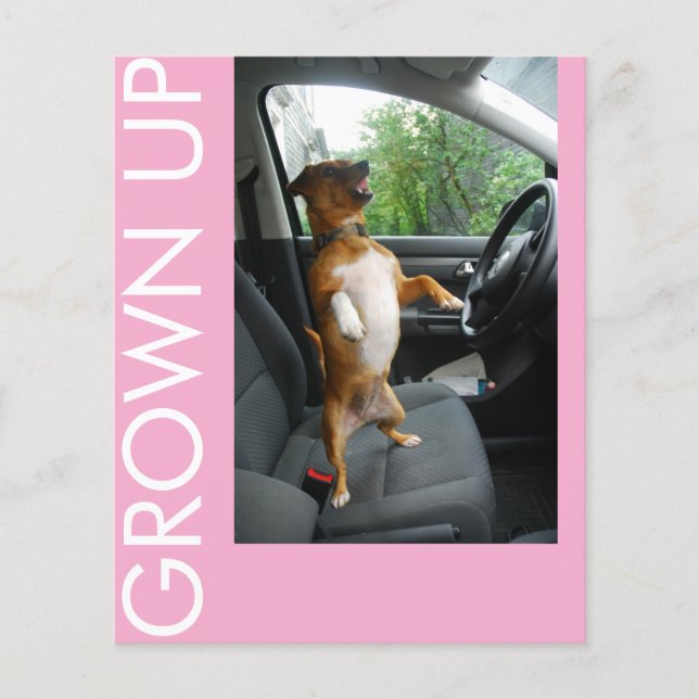 Flyer Celebre os 18 anos com estilo com este convite de  (Frente)