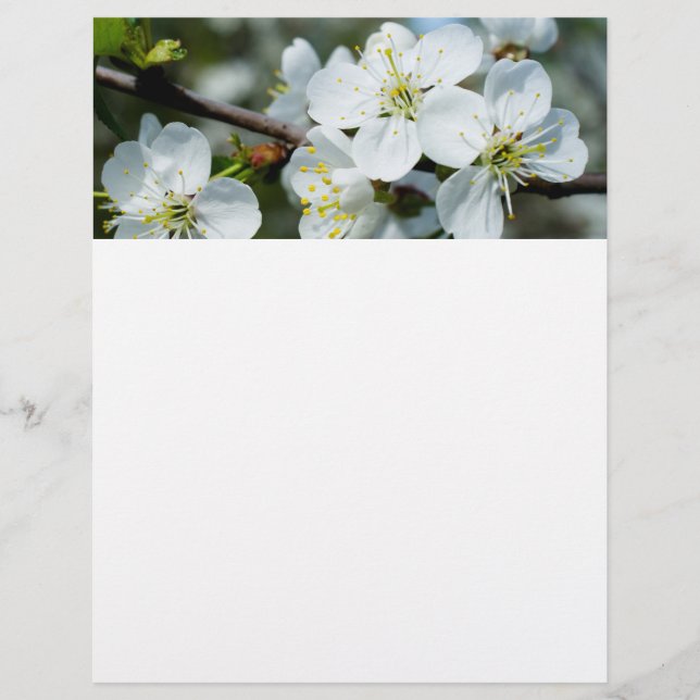 Flyer Cereja florada (Frente)