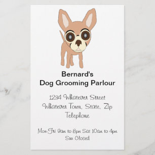 Flyer Chihuahua Dog Grooming Parlor