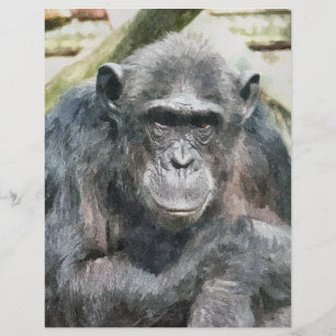 FLYER CHIMPANZÉS