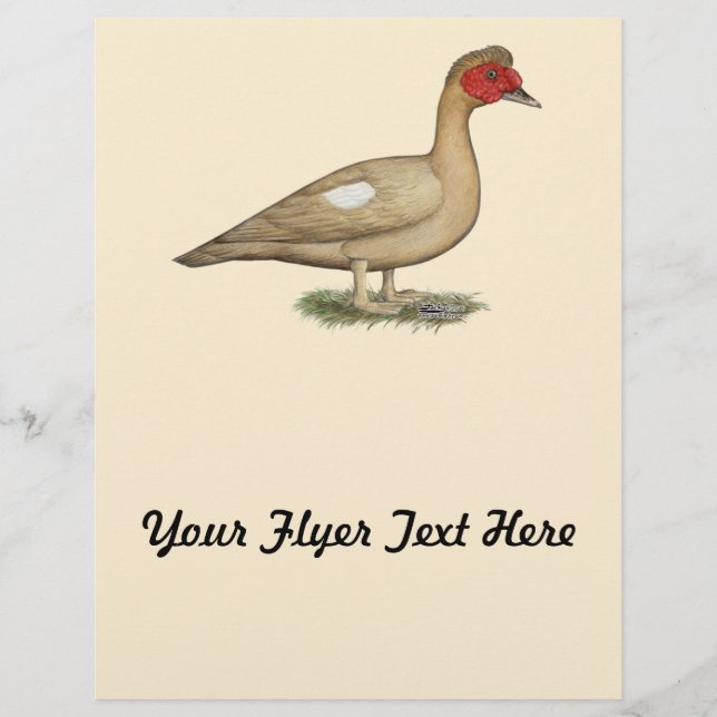 Flyer Chocolate Claro Muscovy (Frente)