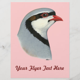 Flyer Chukar: Cabeça de Partucho