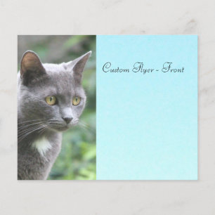 Flyer Cinza Gatinho com azul