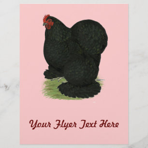 Flyer Cochin: Galinha Preta