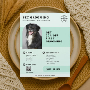 Flyer Código QR de Foto de Higienização de Animais de Es
