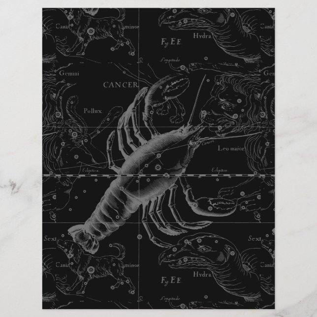 Flyer Constelação de cancer Hevelius 1690 Decor (Frente)