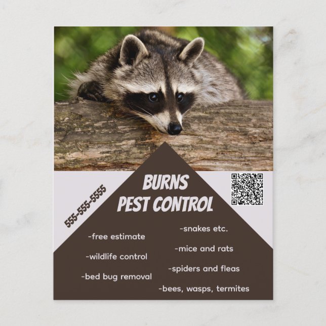 Flyer Controle de Pest Editável (Frente)