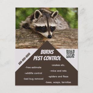 Flyer Controle de Pest Editável