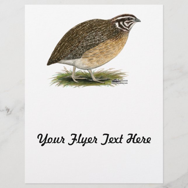 Flyer Coturnix Pharaoh Quail (Frente)