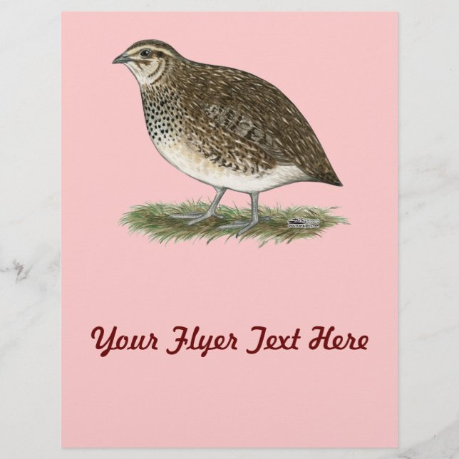 Flyer Coturnix Quail Hen (Frente)
