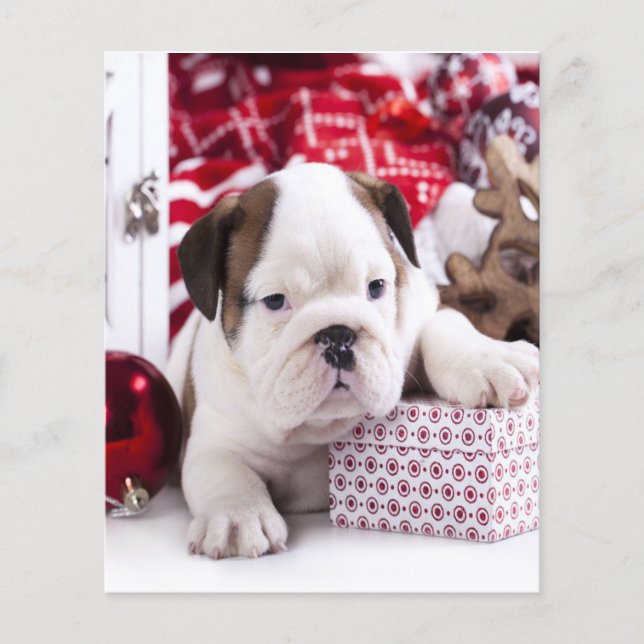 Flyer Cute Puppy English Buldogue | Natal engraçado (Frente)