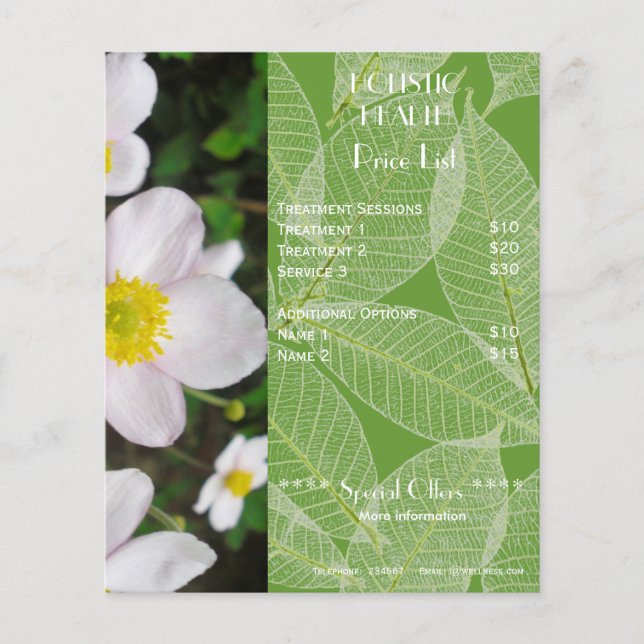 Flyer da lista holística de preços da saúde verde (Frente)