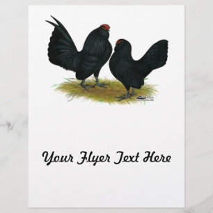Flyer D'Anvers Black Bantams