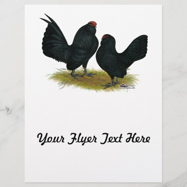 Flyer D'Anvers Black Bantams (Frente)