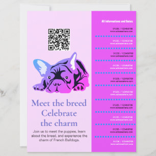 Flyer de Cachorro Bulldogue Francês Encontro & Sau