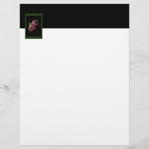 Flyer de Maçãs Vermelhas