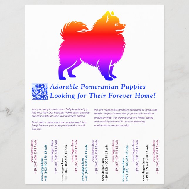 Flyer Desenho de cachorrinho Pomerânia cheio de cor  (Frente)