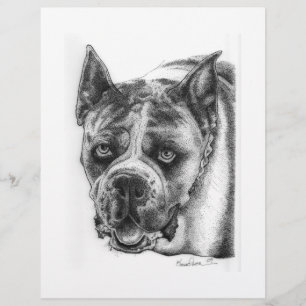 Flyer Desenho do Boxer