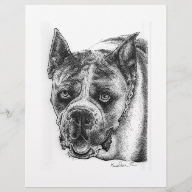 Flyer Desenho do Boxer (Frente)