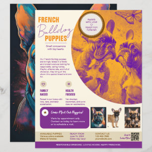 Flyer do Bulldogue Francês Roxo