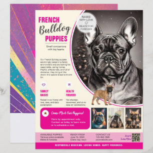 Flyer do Bulldogue Francês Roxo