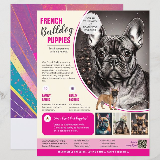 Flyer do Bulldogue Francês Roxo  (Frente/Verso)