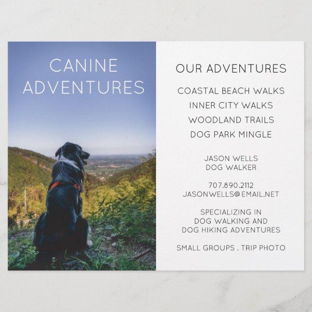 Flyer Dog Walker Adventure anda Hikes (Frente)