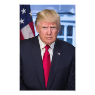 Flyer Donald Trump Retrato Presidencial Oficial