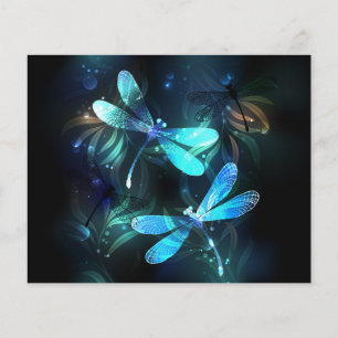Flyer Dragonflies de lago