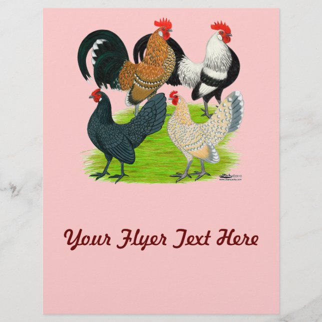 Flyer Dutch Bantam Quartet (Frente)